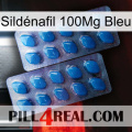 Sildénafil 100Mg Bleu viagra2